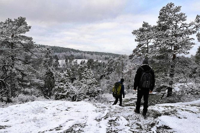 1-Day Small-Group Stockholm Nature Hiking - Key Things You’ll Actually Notice