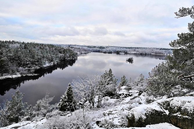 1-Day Small-Group Stockholm Nature Hiking - Getting Out of Stockholm and Into a National Park Day