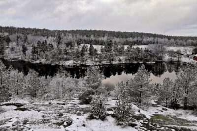 1-Day Small-Group Stockholm Nature Hiking