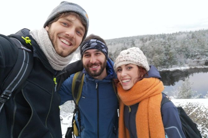 1-Day Small-Group Stockholm Nature Hiking - Weather, Timing, and How the Day Flows