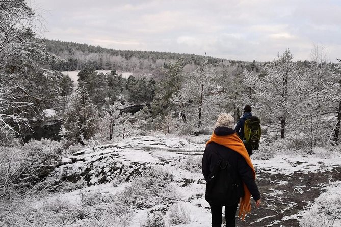 1-Day Small-Group Stockholm Nature Hiking - Who This Tour Fits Best (And Who Might Want Another Option)