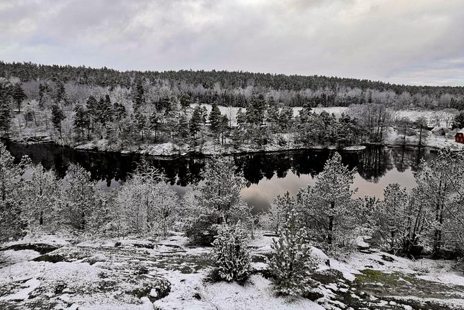 1-Day Small-Group Stockholm Nature Hiking - The Small-Group Hike That Keeps the Day Personal