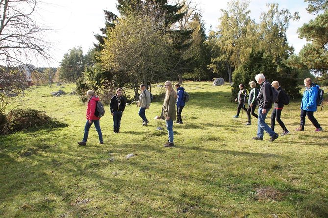 3-4h Viking History Short Day Tour from Stockholm - Jarlabanke runestones and the Viking causeway bridge walk