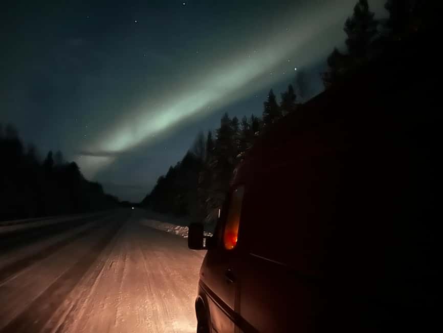 Abisko Arctic Ecology and Northern Lights Tour - Key things that make this tour work
