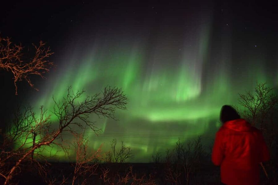 Abisko Arctic Ecology and Northern Lights Tour - Why Abisko’s Arctic Night Is More Than a Photo Mission