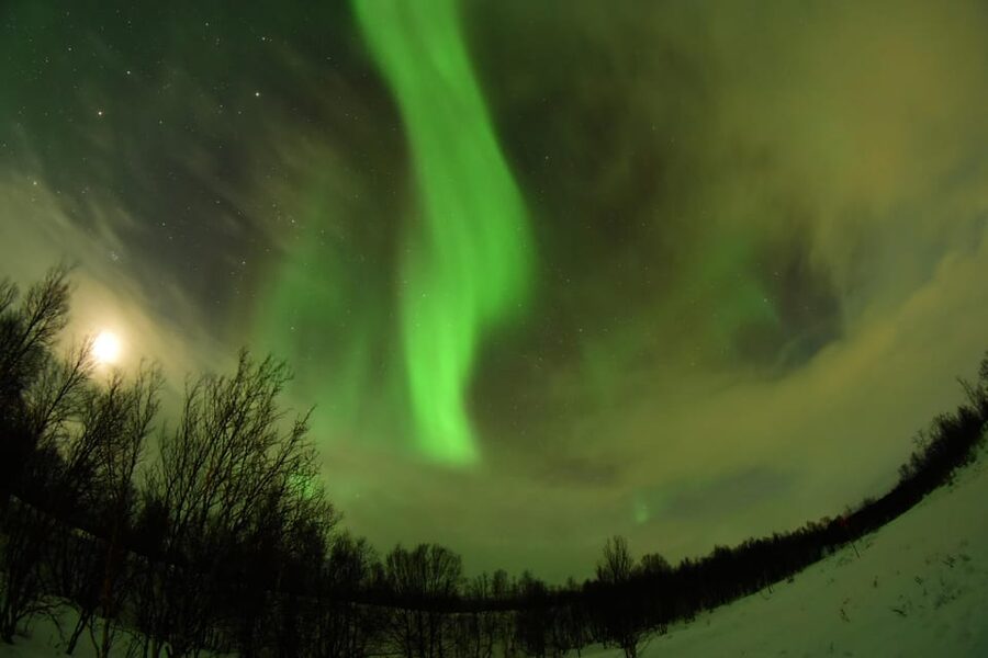 Abisko: Aurora Chasing with Snowmobiles - Into Abisko: Valley Drives, National Park Edges, and Light Pollution Control