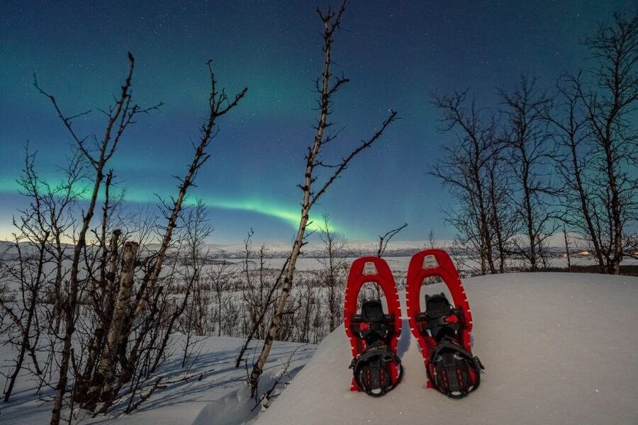 Abisko: Aurora Snowshoeing - Key Highlights You Should Know