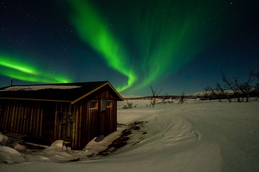 Abisko: Aurora Snowshoeing - Entering the Birch Forest at Night, Learning Snowshoes