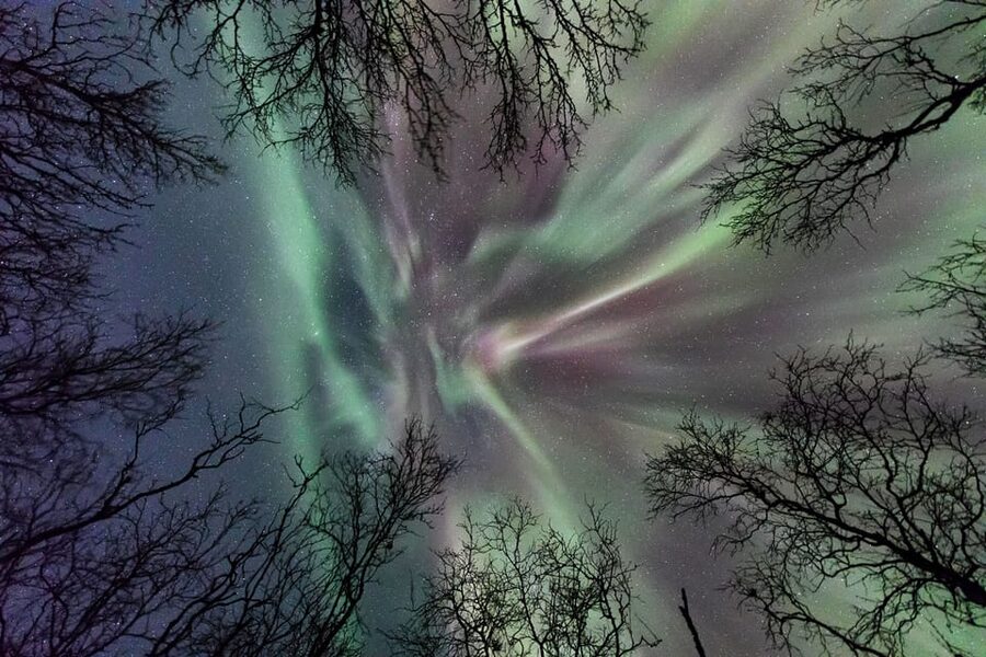 Abisko: Guided Autumn Aurora Chase with Hotel Transfers - The 3.5-hour rhythm: how the night typically unfolds