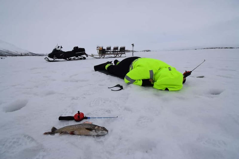Abisko: Ice Fishing Experience - Why Abisko Ice Fishing Feels Like More Than a Fishing Demo