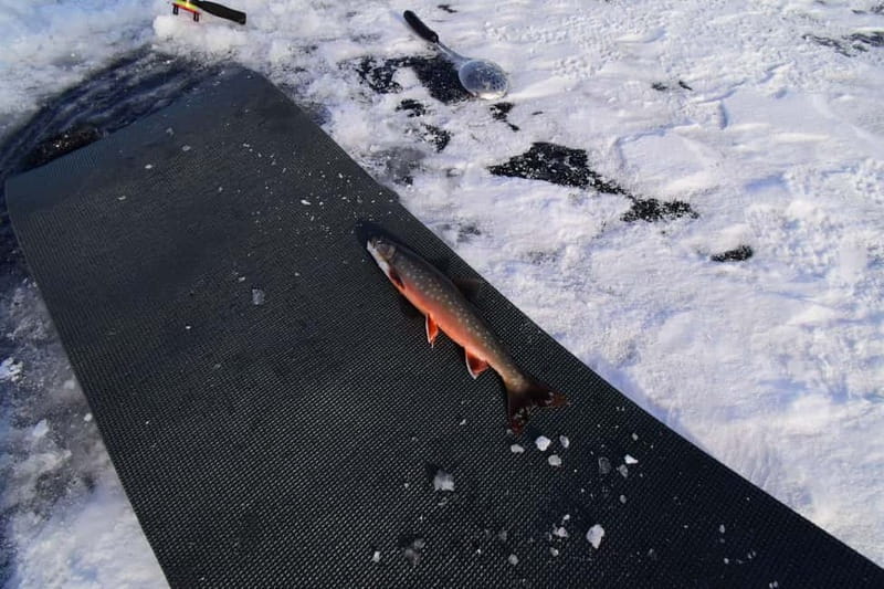 Abisko: Ice Fishing Experience - Turning Your Catch Into Dinner, With Cleaning Tips