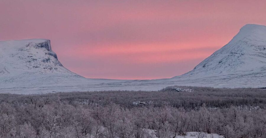 Abisko National Park: Scenic Morning Hike with Transfer - The Trail Plan: River Canyon, Birch Forest, and Torneträsk Views
