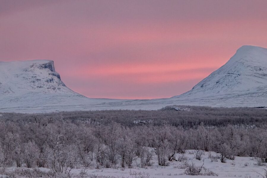 Abisko National Park: Scenic Morning Hike with Transfer - Price and Value: Is 88 Dollars for 2 Hours Fair?