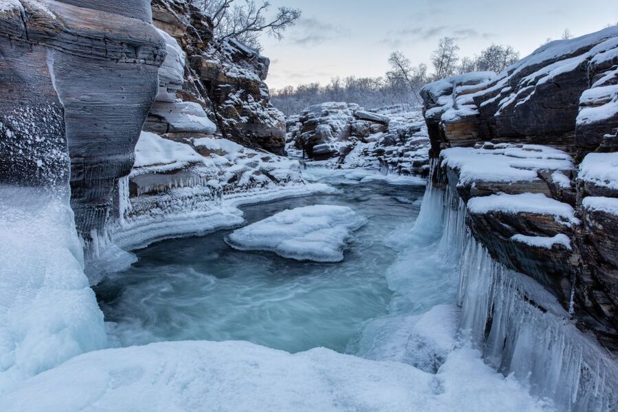 Abisko National Park: Scenic Morning Hike with Transfer - Food, Water, and Timing: A Small Detail That Matters