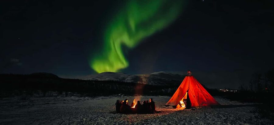 Abisko: Northern Lights Hike with Husky Puppies - Why the Abisko Valley, huskies, and the night sky are a great combo