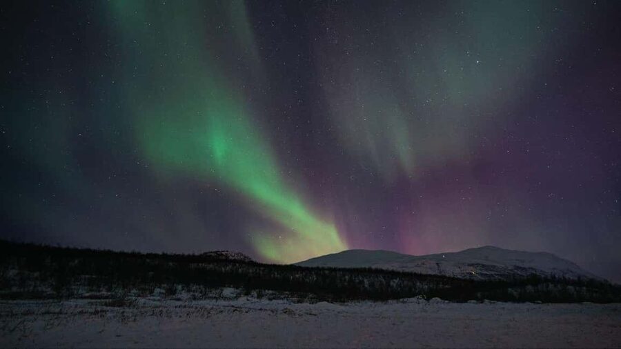 Abisko: Northern Lights Hike with Husky Puppies - The 3-hour format, and why the timing feels just right