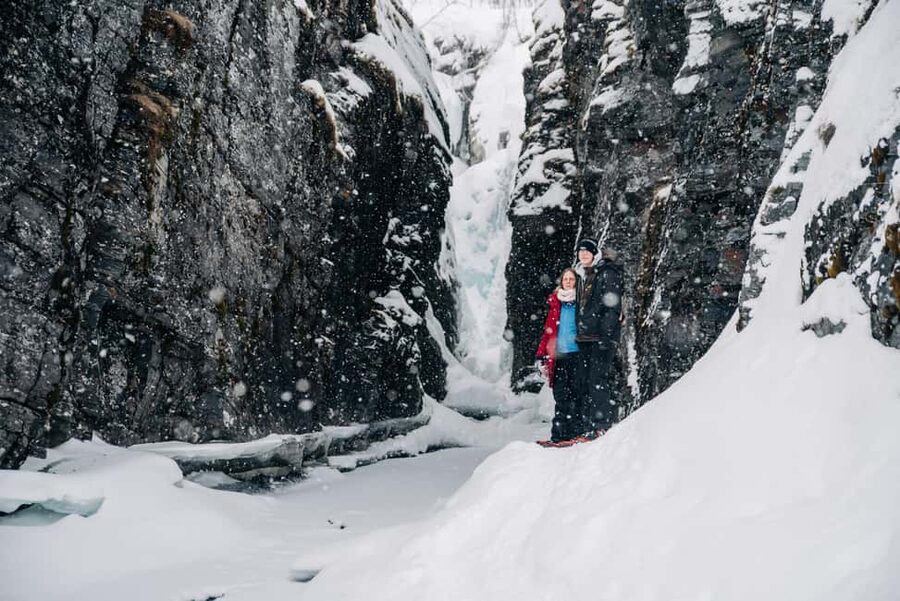 Abisko: Photo Hike with Professional Photographer - The 3-hour route: viewpoints, forest time, and lake-area scenery