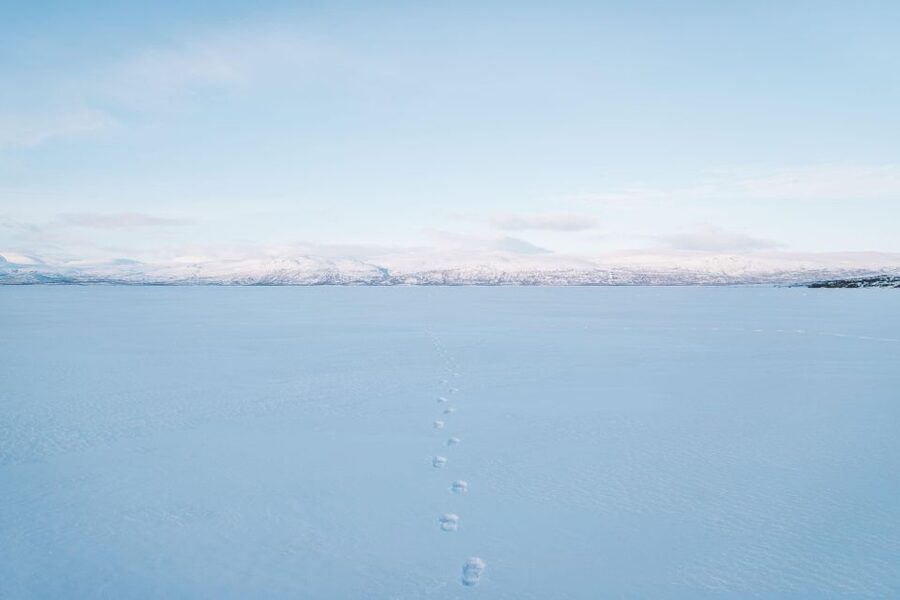 Abisko: Snowmobile Sled Expedition with Snack and Hot Drink - The expectation check that prevents disappointment