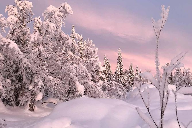 Afternoon Snowmobile Tour - Modern four-stroke snowmobiles on frozen Torne River country
