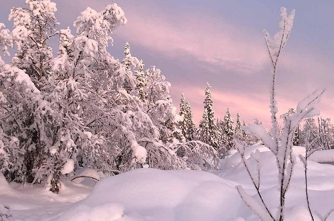 Afternoon Snowmobile Tour - Time, tickets, and meeting point details that keep stress low