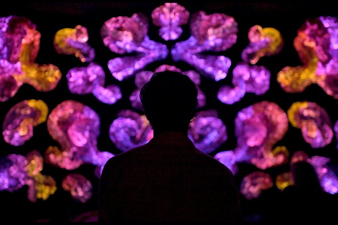 Andetag Immersive Art Experience - Key Highlights You Should Know Before You Go
