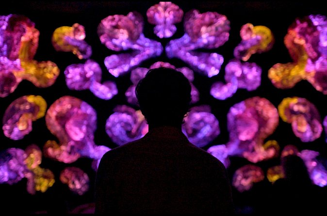 Andetag Immersive Art Experience - FAQ