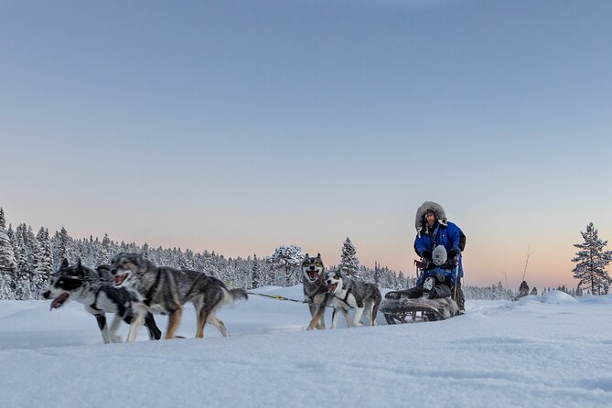 Arctic Afternoon Eco Experience (14:00-17:00- driving the sled) - Driving the sled: what you actually do out on the trail