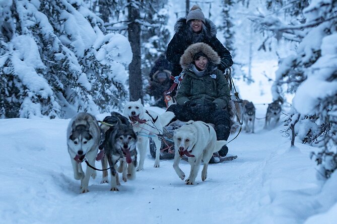 Arctic Afternoon Eco Experience (14:00-17:00- driving the sled) - Fire, hot drink, and Swedish snacks: the reset button after riding