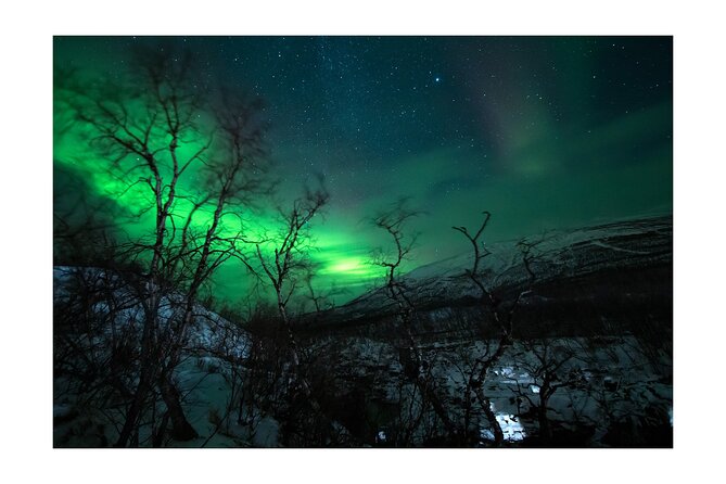 Aurora Borealis Tour in Kiruna - Lapland with Stejk Street Food - Winter comfort: jacket, boots, and how to dress for the long wait