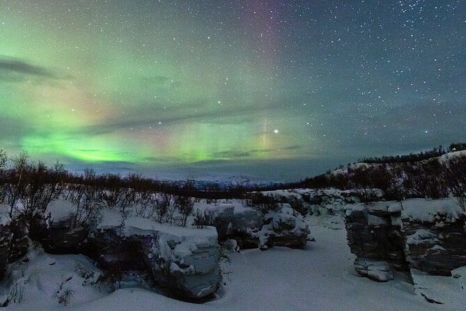 Aurora Tour with Dinner in Abisko - Key things to know before you go