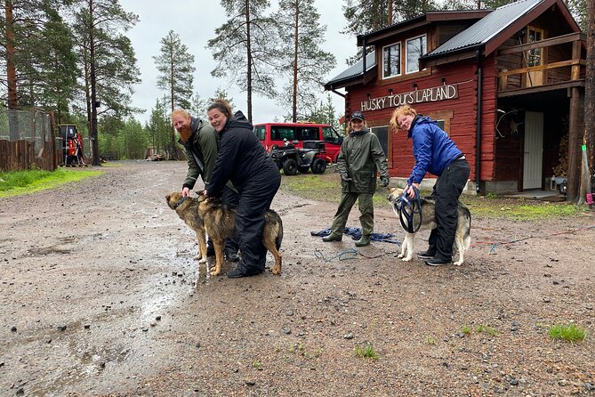 Autumn Husky Sit and Drive Cart Tour from Kiruna - Key Highlights You’ll Feel During This 3-Hour Husky Cart Tour