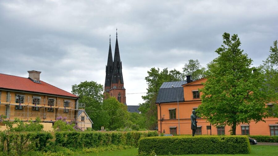Best of Uppsala: Private Walking Tour with a Local - Uppsala Castle: Panoramic Views and the Big Finish