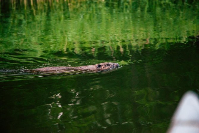 Canoe adventure in Stockholm Archipelago - Viking stories you can connect to what you see