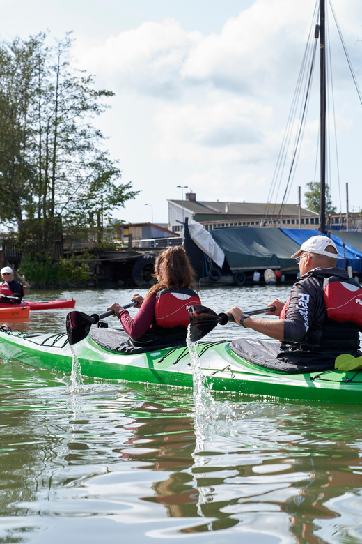 City Kayak Tour - What You Actually Learn on the Water