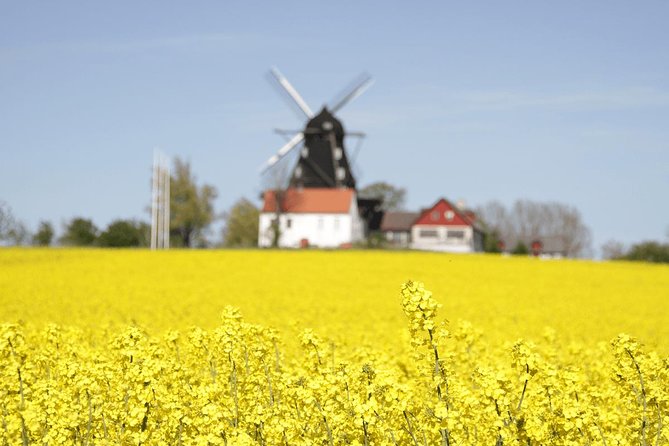 Daytrip Bike Tour on the Swedish Countryside Private - Your ride includes raspberry picking, fika, and Ängavallen lunch