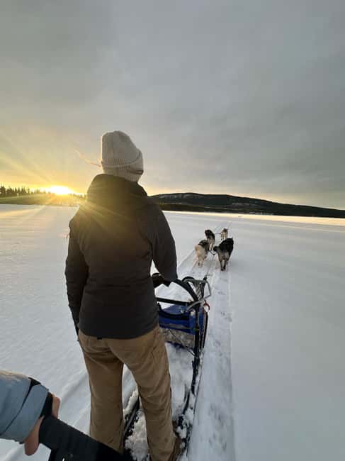 Dog sled tour with overnight stay in central Sweden/Härjedalen - Why this husky ranch overnight in Härjedalen hits the right note