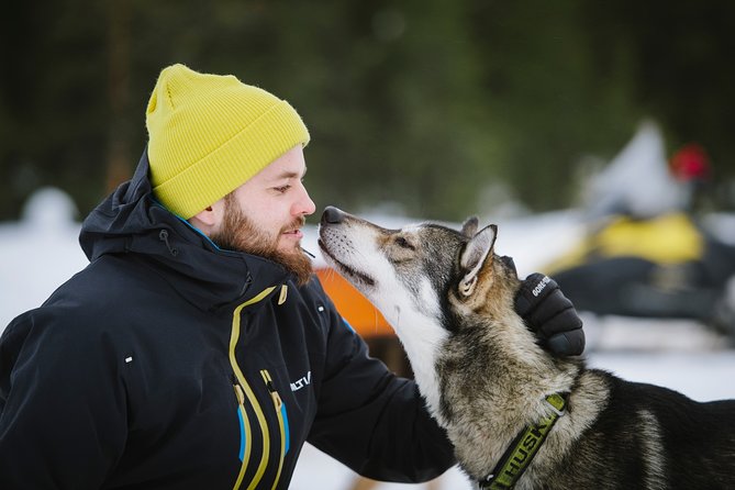 Dogsled Adventure Kiruna - Price in context: is $308.43 per person worth it