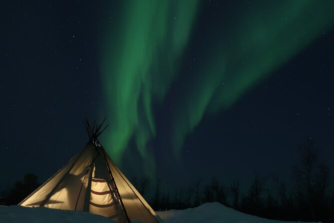 Enjoy the Aurora show on top of the mountain inc tipi dinner - Snowmobile on the easy side, with a real guide