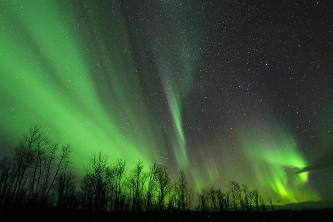 Enjoy the Aurora show on top of the mountain inc tipi dinner - When the lights do not show