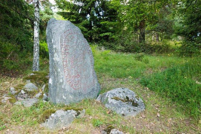 Evening Wildlife Safari from Stockholm - The short forest hike and Viking rune stones stop