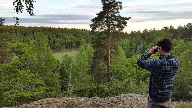 Evening Wildlife Safari Stockholm - Why an evening wildlife safari feels right in Stockholm