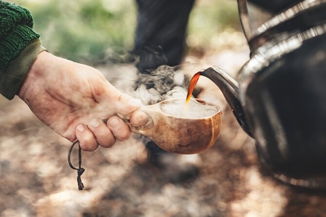 Evening Wildlife Safari Stockholm - Lundby parstuga: a forest hike that teaches you how to look