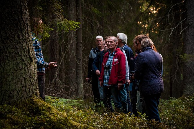 Evening Wildlife Safari Stockholm - Guides, group size, and the quality of attention you actually get