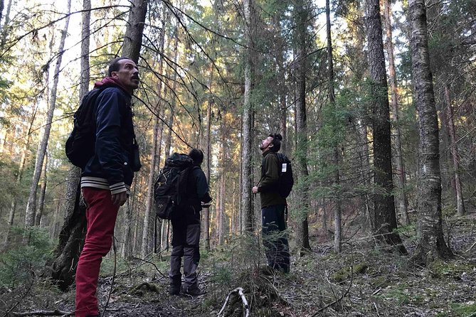 Evening Wildlife Safari with Campfire Dinner from Stockholm - What you can realistically expect to see (and how to stay happy if it’s light)