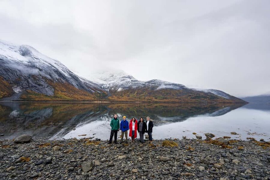 Explore the Norwegian Fjords and the Wildlife from Abisko. - The Abisko to secret-stop rhythm: short effort, better odds