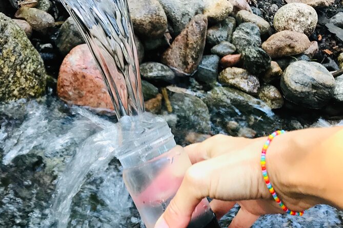 Forestbathing Slow Walking and Healing Spring Water, Stockholm - Key highlights worth knowing before you go