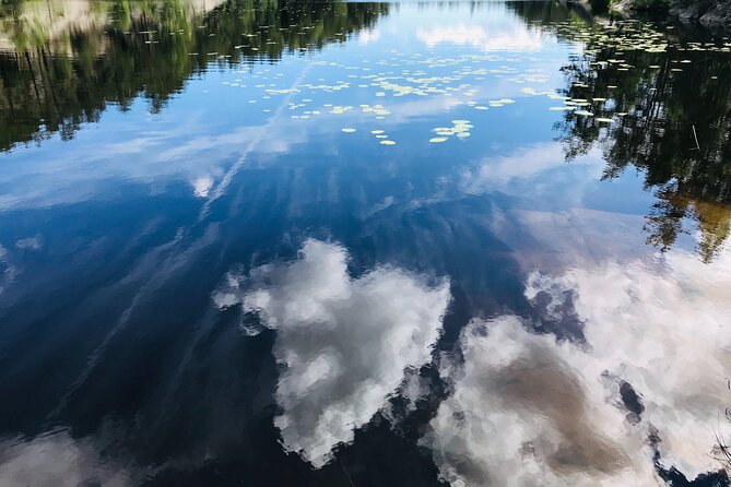 Forestbathing Slow Walking and Healing Spring Water, Stockholm - The guided meditation and walking grounding: how it fits in the flow
