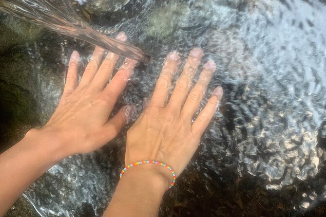 Forestbathing Slow Walking and Healing Spring Water, Stockholm - Group size, pace, and who should book this