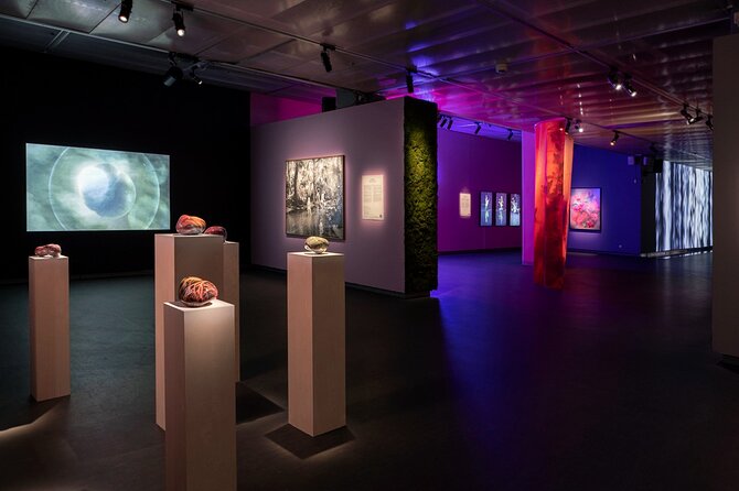 Fotografiska Stockholm Admission Ticket - Location Help: Finding Fotografiska and Timing Your Walks