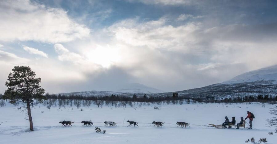 From Abisko: Dog Sledding Excursion to Kiruna with Fika - The Halfway Camp Stop and Swedish Fika: Cold Weather with a Purpose